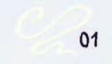 Renesans Liner Deco 20ml – Bílá - 