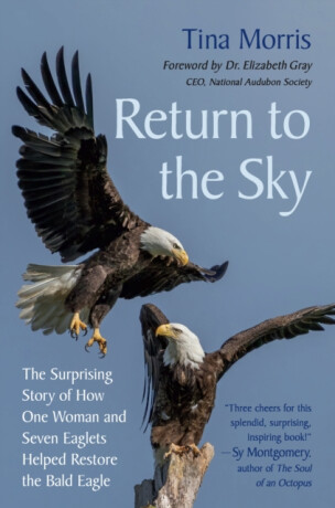 Return to the Sky - Tina Morris