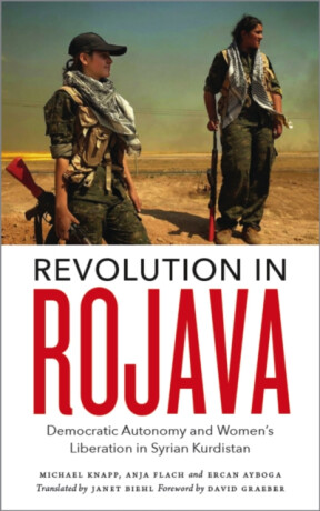 Revolution in Rojava - Anja Flach,Michael Knapp,Ercan Ayboga