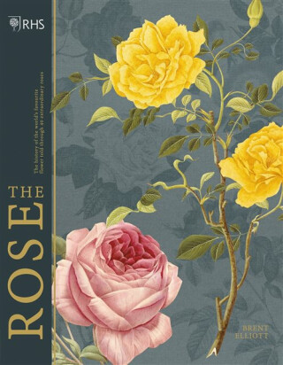 RHS The Rose - Brent Elliott