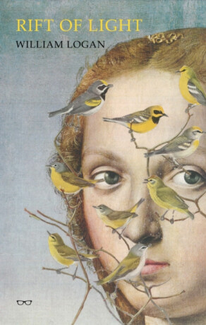 Rift of Light - William Logan