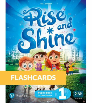 Rise and Shine Level 1 Flashcards - Viv Lambert