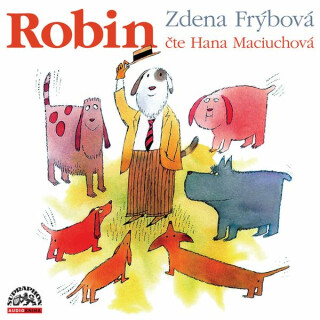 Robin - Zdena Frýbová