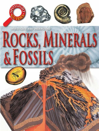 Rocks Minerals and Fossils - Neil Curtis