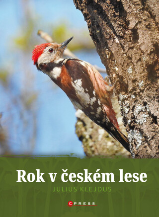 Rok v českém lese -  kolektiv