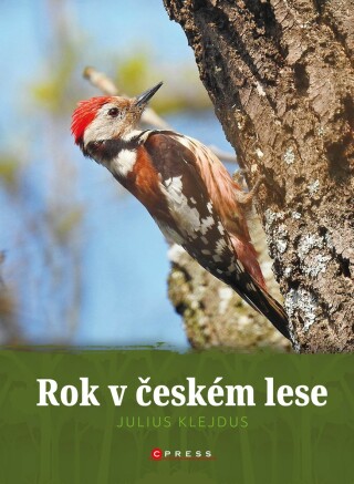 Rok v českém lese -  kolektiv