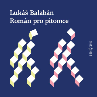 Román pro pitomce - Lukáš Balabán