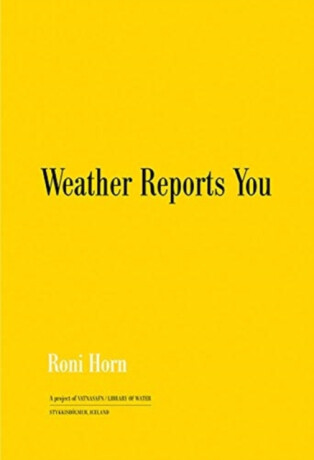 Roni Horn: Weather Reports You (2022) - Roni Horn