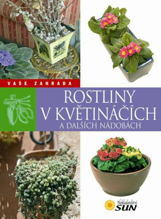 Rostliny v květináčích a dalších nádobách - Echague Jorge