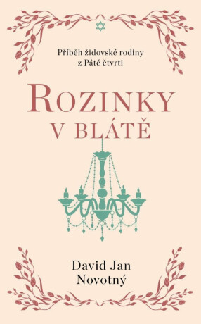 Rozinky v blátě - Dva tucty střepů - David Jan Novotný