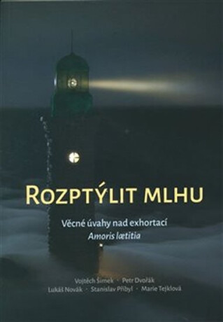 Rozptýlit mlhu - Věcné úvahy nad exhortací Amoris laetitia - Petr Dvořák,Vojtěch Šimek,Lukáš Novák,Marie Tejklová,Stanislav Přibyl