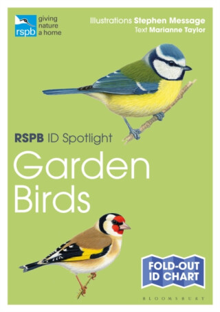 RSPB ID Spotlight â€“ Garden Birds - Taylor Marianne