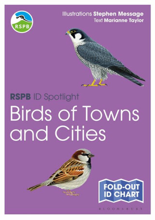 RSPB ID Spotlight - Birds of Towns and Cities - Taylor Marianne