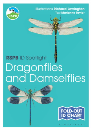 RSPB ID Spotlight - Dragonflies and Damselflies - Taylor Marianne