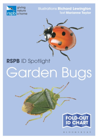 RSPB ID Spotlight - Garden Bugs - Taylor Marianne