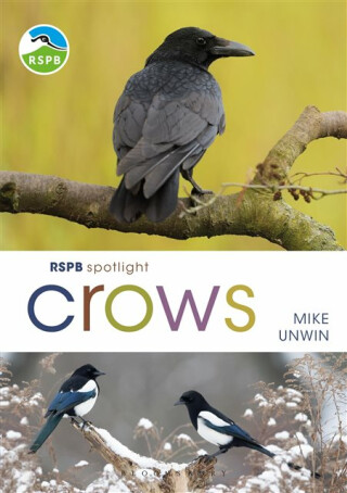 RSPB Spotlight Crows - Mike Unwin