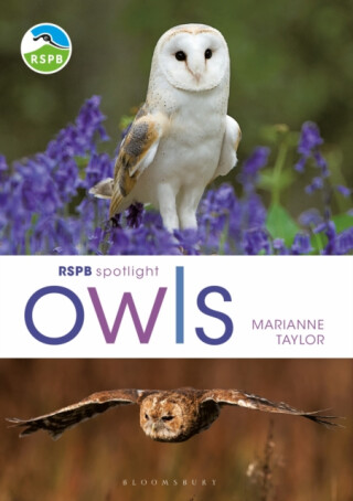 RSPB Spotlight Owls - Taylor Marianne