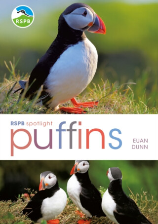 RSPB Spotlight: Puffins - Euan Dunn