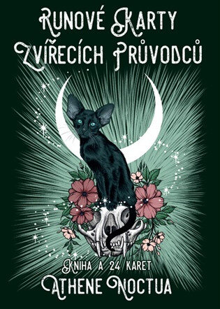 Runové karty zvířecích průvodců - Athene Noctua