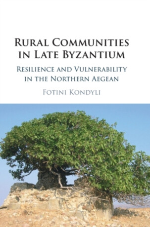 Rural Communities in Late Byzantium - Fotini  Kondyli