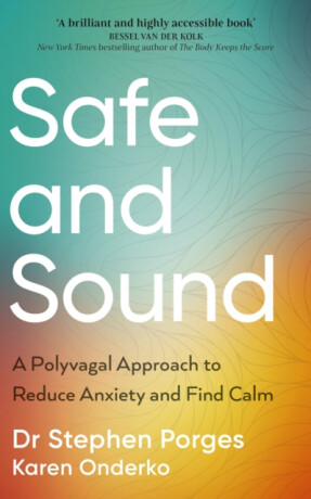 Safe and Sound - Stephen W. Porges,Karen Onderko