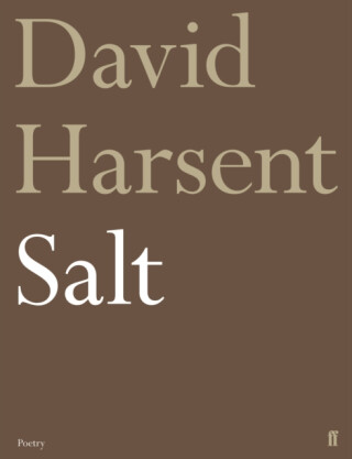 Salt - David Harsent
