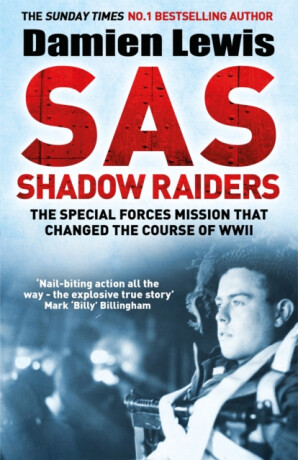 SAS Shadow Raiders - Damien Lewis