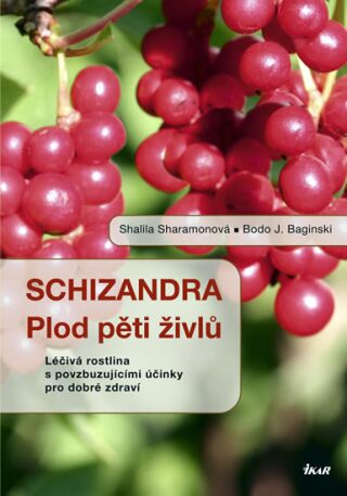 Schizandra Plod pěti živlů - Shalila Sharamonová,Bodo J. Baginski