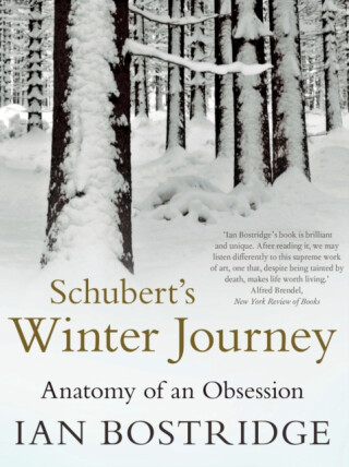 Schubert's Winter Journey - Bostridge Ian