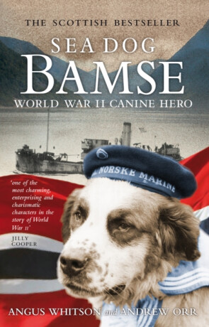 Sea Dog Bamse - Andrew Orr,Angus Whitson