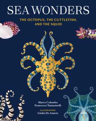 Sea Wonders - Francesco Tomasinelli,Marco Colombo