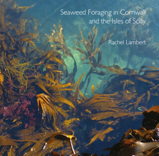 Seaweed Foraging in Cornwall and the Isles of Scilly - 