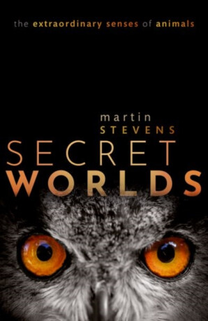Secret Worlds - Martin  Stevens