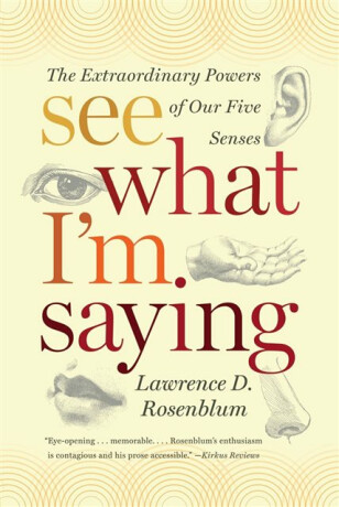 See What I'm Saying - Lawrence D.  Rosenblum