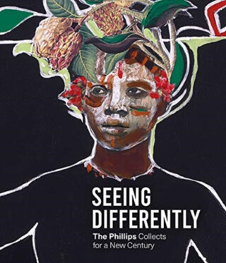 Seeing Differently: The Phillips Collects for a New Century - David C Driskell,Mary Jane Jacob,Dorothy Kosinski
