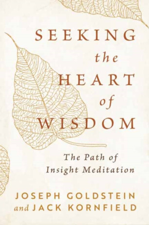 Seeking the Heart of Wisdom - Jack Kornfield,Joseph Goldstein