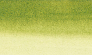 Šelaková tuš Sennelier 30ml – 813 Olive Green - 