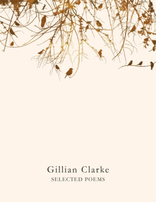 Selected Poems - Gillian Clarke