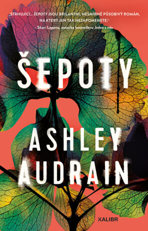 Šepoty - Ashley Audrain