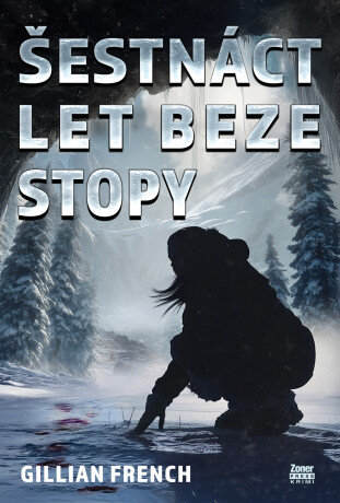 Šestnáct let beze stopy - Gillian French