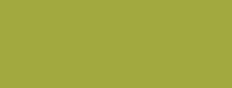 Setacolor Opaque 45 ml - 83 Olive - 