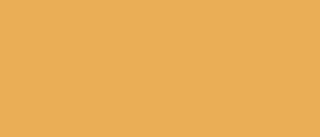 Setasilk 45 ml - 03 Tangerine - 