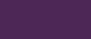 Setasilk 45 ml - 10 Iris violet - 