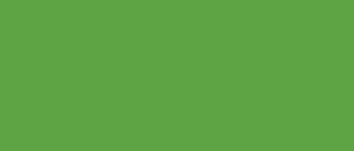 Setasilk 45 ml - 17 Meadow green - 
