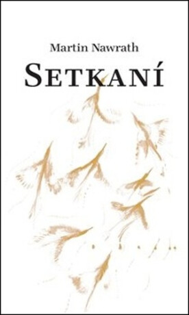 Setkaní - Jan Pražan,Martin Nawrath