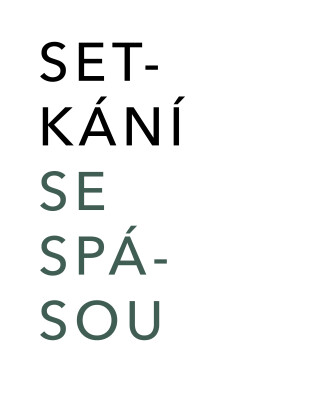 Setkání se spásou - autorů kolektiv