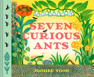 Seven Curious Ants - JooHee Yoon