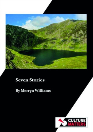 Seven Stories - Merryn Williams