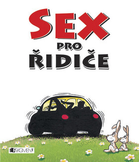 Sex pro řidiče - Patrick Seewald,Frank Mayer