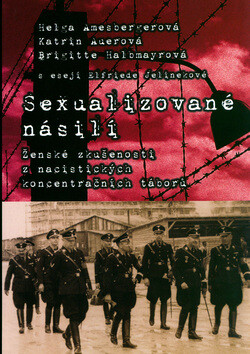 Sexualizované násilí - Helga Amesbergerová,Katrin Auerová,Brigitte Halbmayrová
